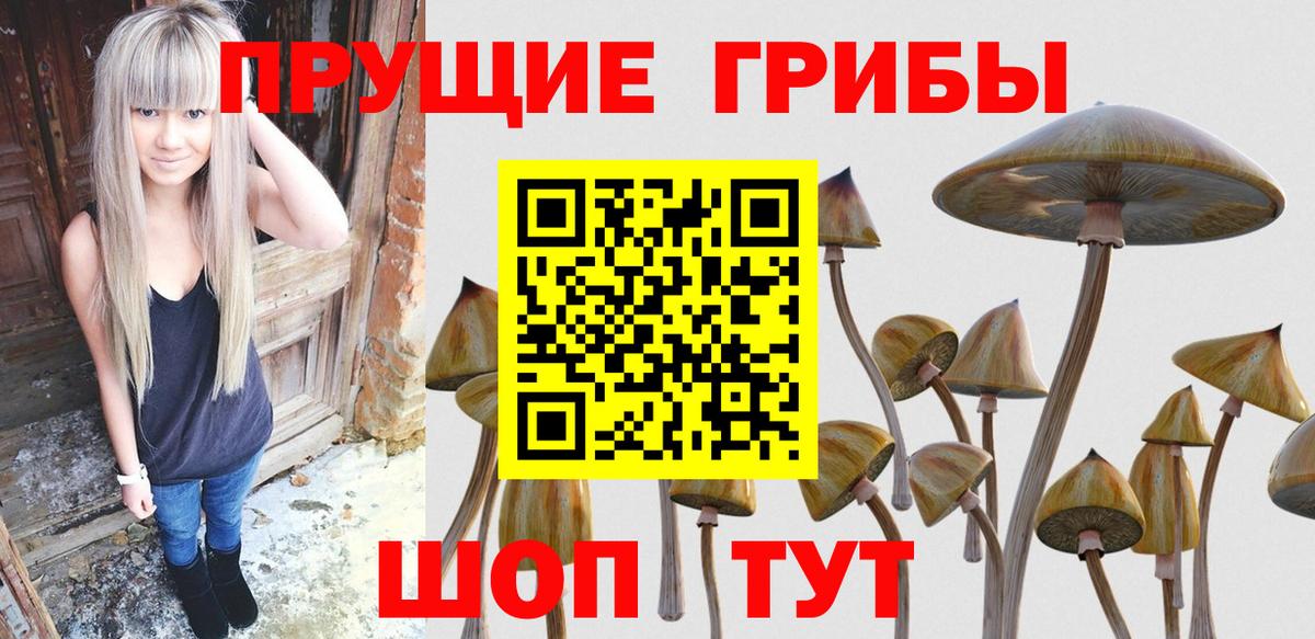Крымск  Псилоцибиновые грибы мицелий  Вход с VPN  Псилоцибиновые грибы Psilocybe 