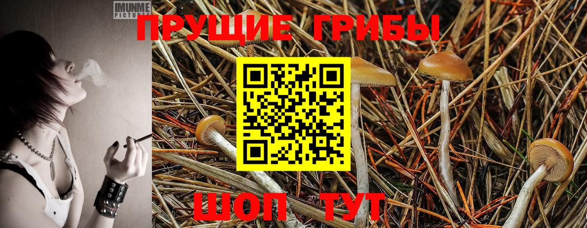 Галлюциногенные грибы мицелий Крымск