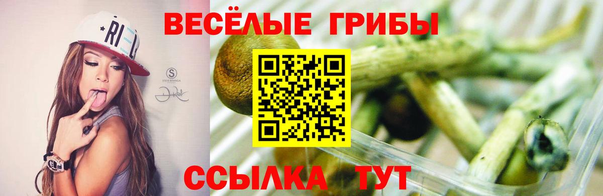 ГАШИШ Крымск